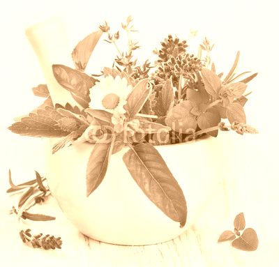 Herbs