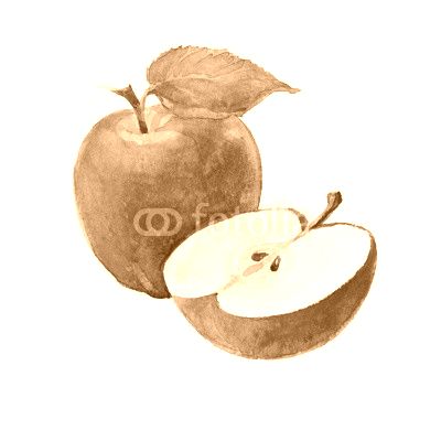 Watercolor Apples on a white background. Sliced fruit.  Peeled half apple.  Red apple illustration. 