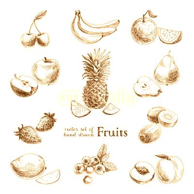Vector set of hand drawn vintage  fruits and berries.