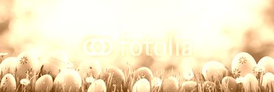 Easter - Colorful Decorated Eggs On Field
