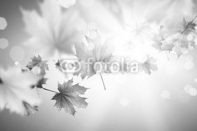 Autumn background