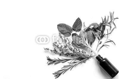 mint, sage, rosemary, thyme - aromatherapy white background