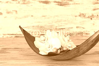 Orchideen in Palmblattschale