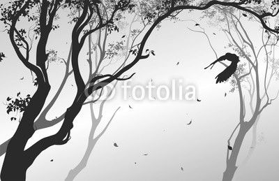 landscape with a flying owl