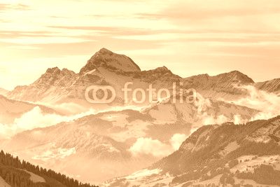 Winter Landscape