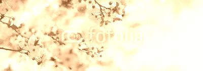 Spring border or background art with pink blossom. Beautiful nature scene with blooming tree and sun flare