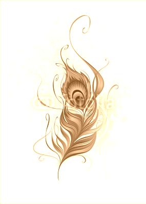 Peacock Feather