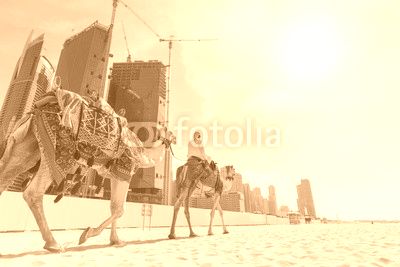 Tour guide offering tourist camel ride on Jumeirah beach on in Dubai, United Arab Emirates. Luxury Dubai Marina skyscrapers in background.