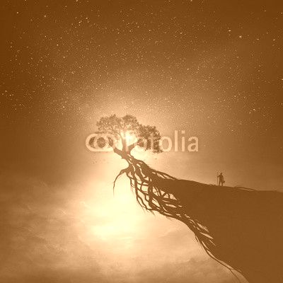Tree and night sky