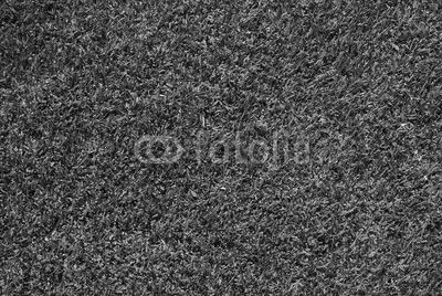 green grass background