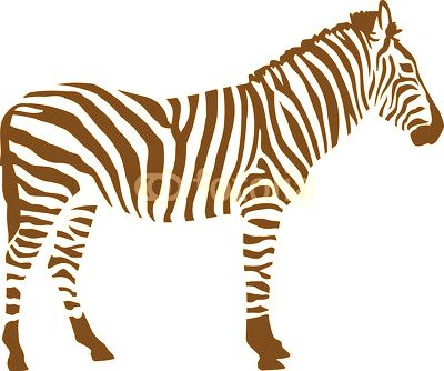Zebra silhouette isloated on white background