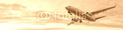 Modern Passenger airplane flight in sunset panorama