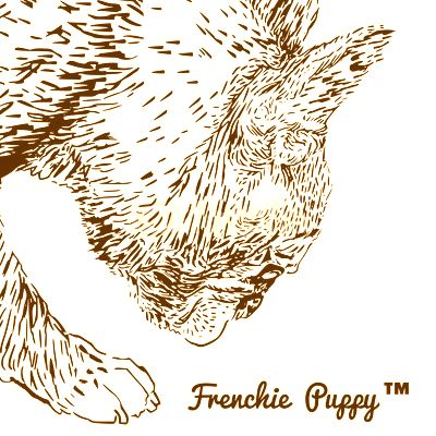 French bulldog