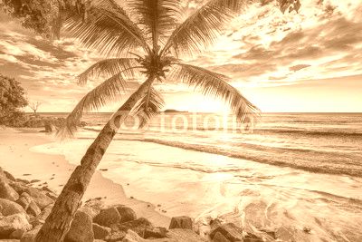 Beautiful Sunset at tropical beach.