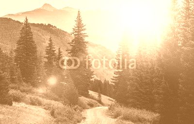 Mountain Countryside Road
