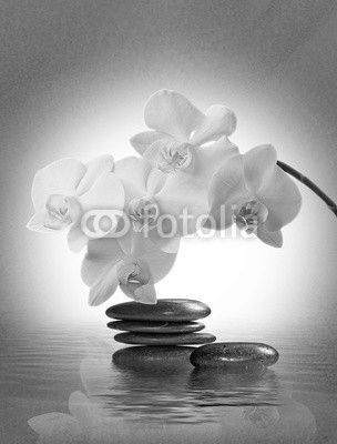 Orchideenblüte über Wasser mit Schmucksteinen