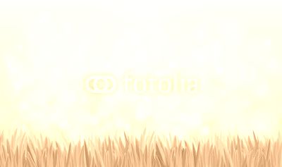 Vector  nature background, blue sky and green grass.