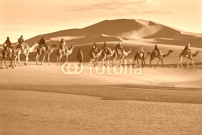 Caravan of tourists passing desert lake on camels