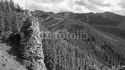 Mountain landscape with a stone cliff and forest. View from Mount Nosal, Tatry, Poland