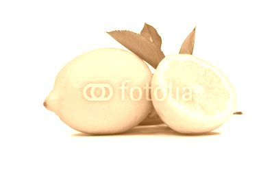 Cytryny z liściem #007