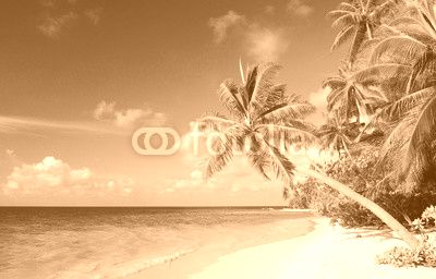 Strand mit Palmen