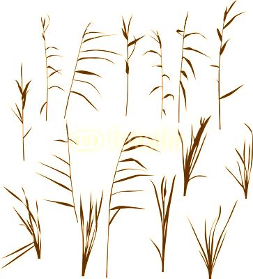 set of fifteen reed silhouettes isolated on white