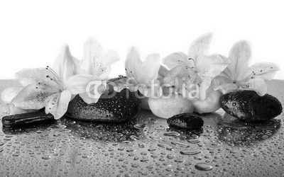 Pink flowers and black stones
