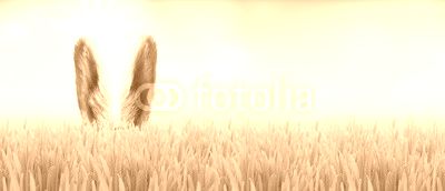 Osterhase im Gras