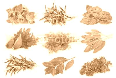 Set from green spice