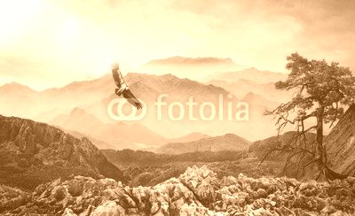 Geier am Himmel im Hochgebirge bei Nebel