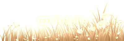 Green grass and flowers on white, vector illustration