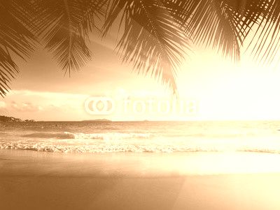 sunset on the beach of caribbean sea