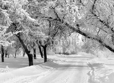 Winter park, scenery