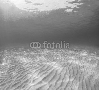 Sea