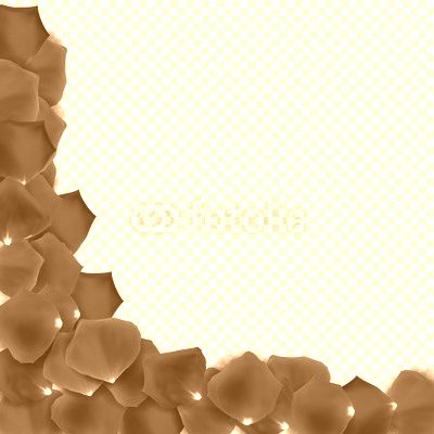 Abstract Natural Rose Petals on Transparent Background Realistic