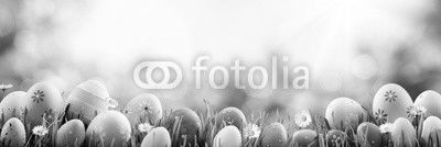 Easter - Colorful Decorated Eggs On Field
