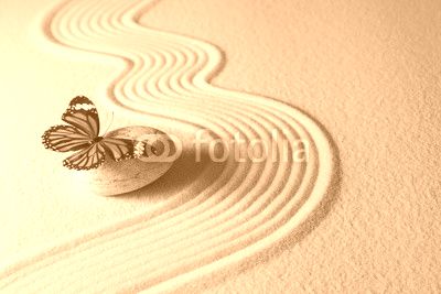 Zen butterfly