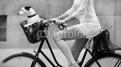 Side shot of woman and dog on bike