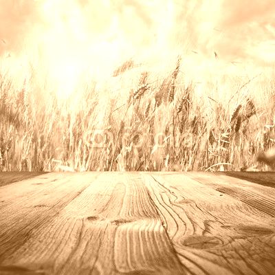wood textured backgrounds on the tuscany landscape