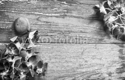 Orchid flower on wood