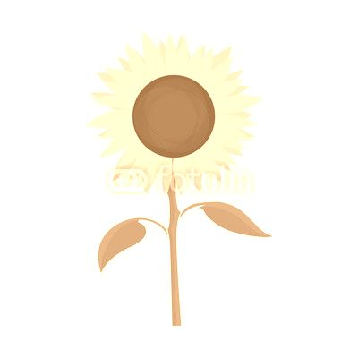 Sunflower Vector Symbol
