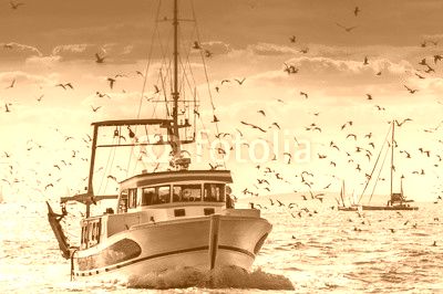Retour de pêche d'un chalutier.