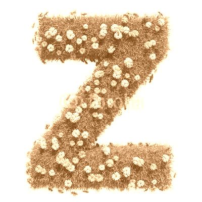 Letter Z Of Green Grass And Flowers