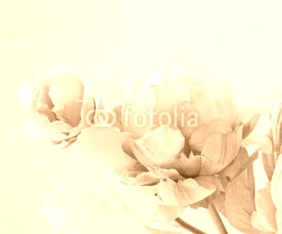 peony flowers