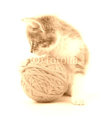 Cat with ball of yarn