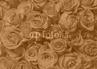 Colorful flower bouquet from red roses for use as background. Closeup.