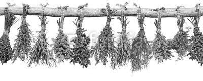kräutersträußchen hängen an holzast