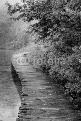 Wooden Bridge