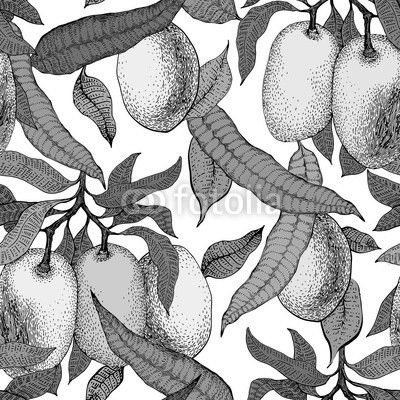Mango tree vintage seamless pattern. Botanical mango fruit background. Engraved mango. Vector illustration