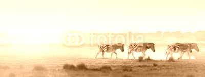 Africa Sunset Landscape